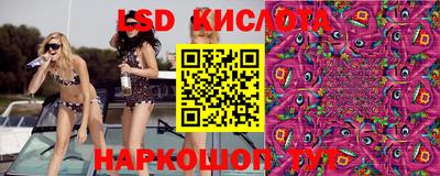 бошки Новодвинск