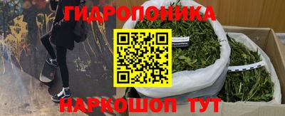 бошки Новодвинск